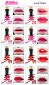 Powder Matte Lipstick