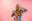 primorafashion.com favicon